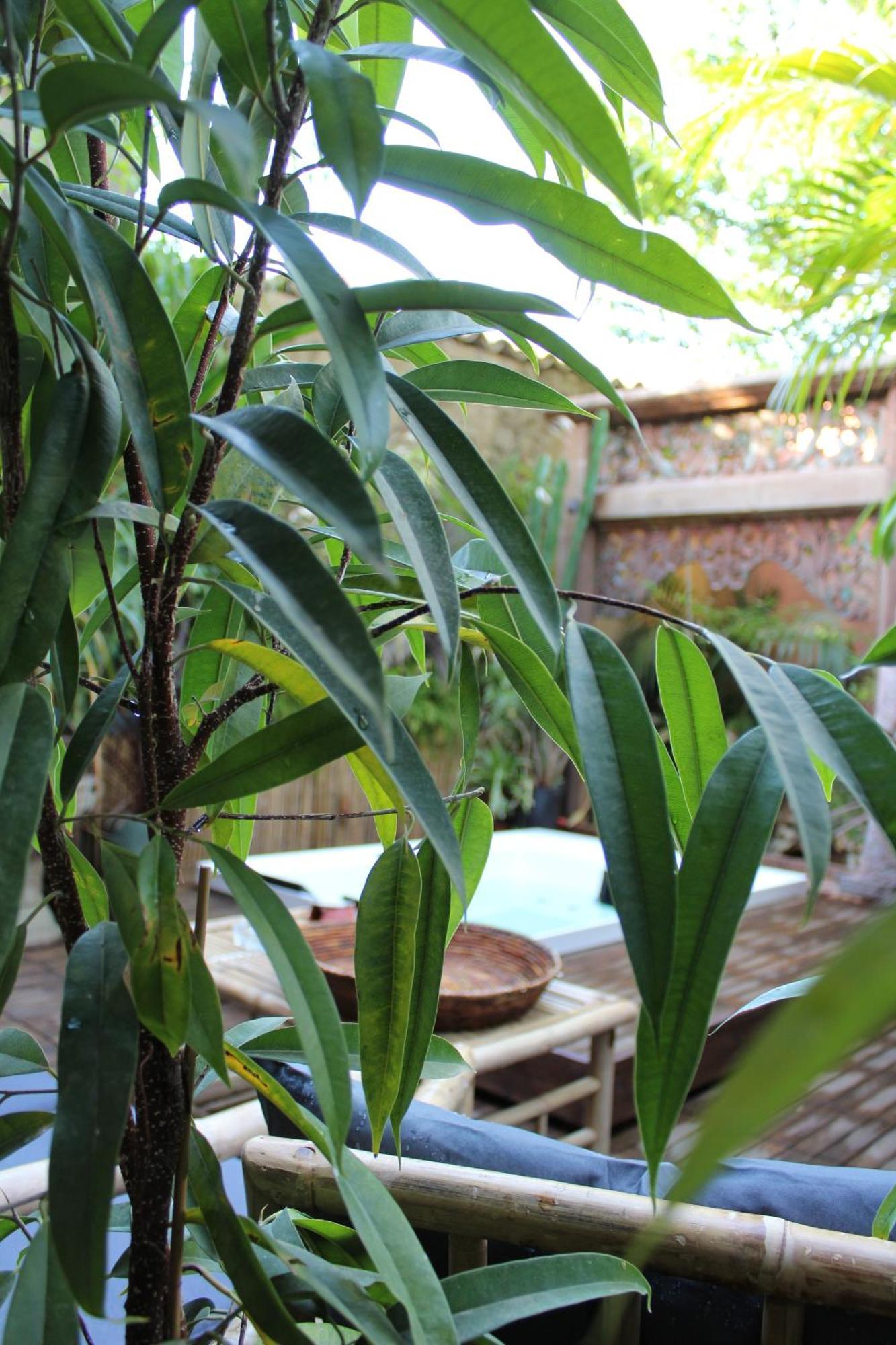 Il Giardino Di Chiara Bed & Breakfast Oristano Exterior foto